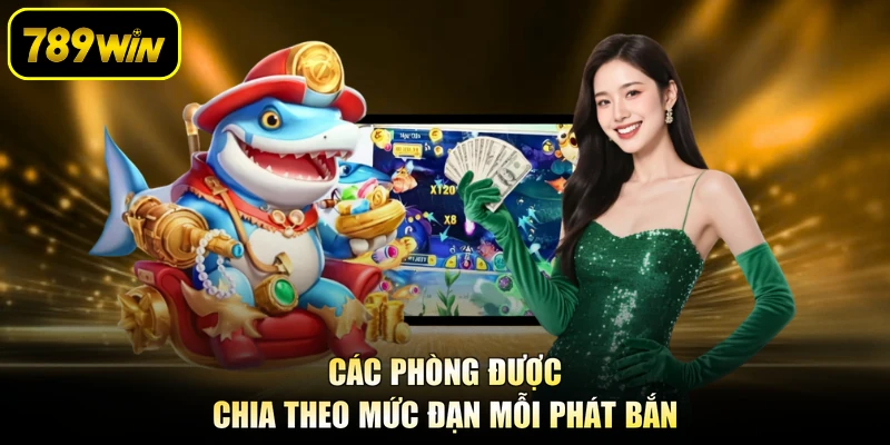 Các phòng được chia theo mức đạn mỗi phát bắn