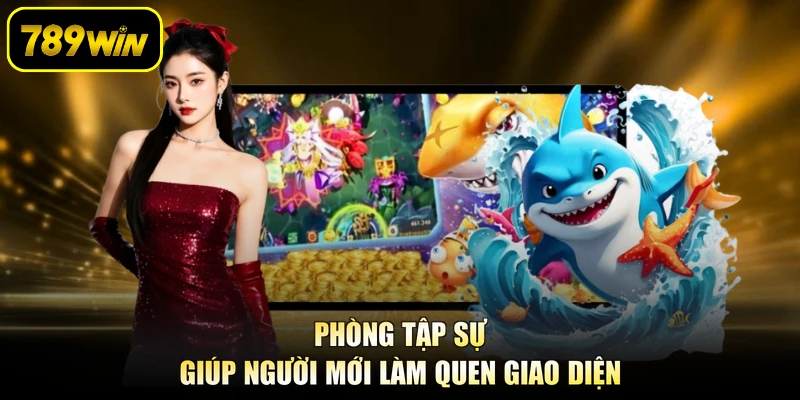 Phòng tập sự giúp người mới làm quen giao diện